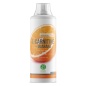 - Nature Foods L-carnitine + Guarana Concentrate 1000 