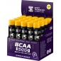     BCAA 2500 25